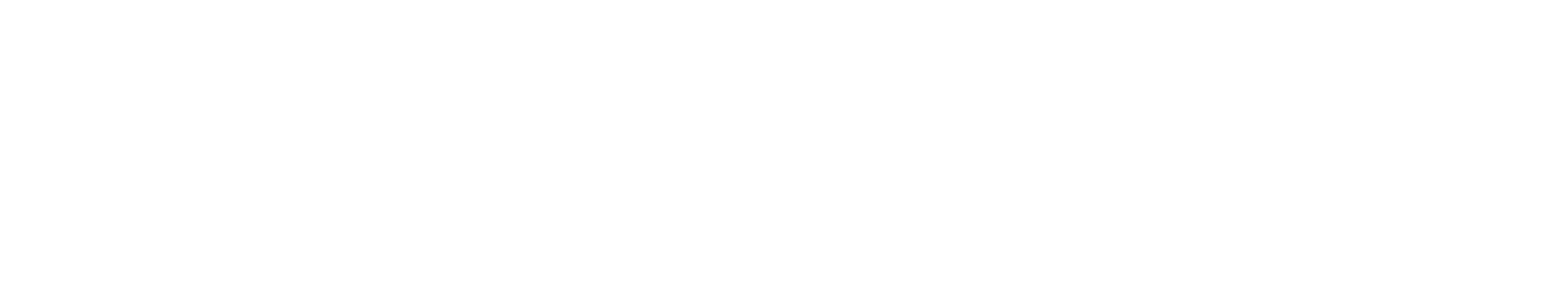 engenious logo